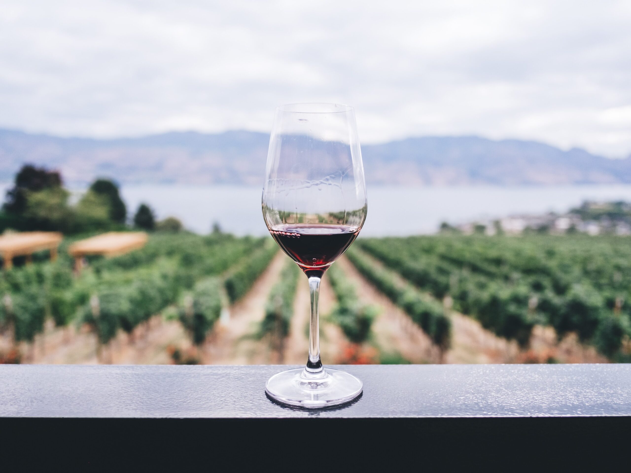 glass of wine on a table at a winery